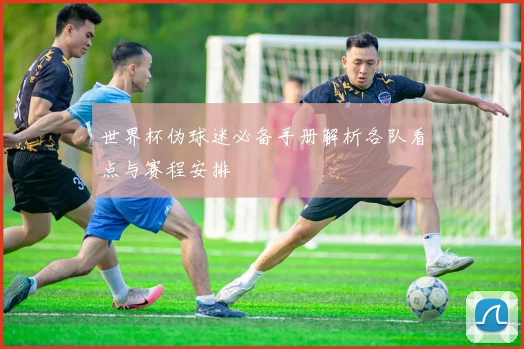 世界杯伪球迷必备手册解析各队看点与赛程安排