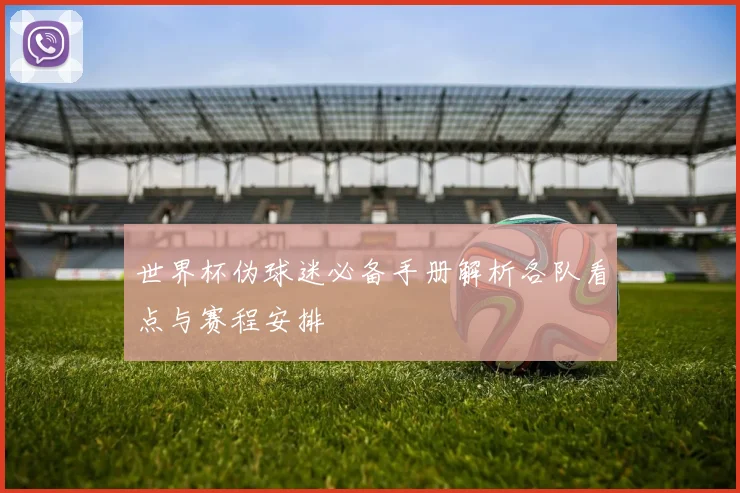 世界杯伪球迷必备手册解析各队看点与赛程安排